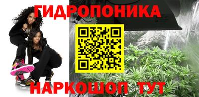шишки Коммунар