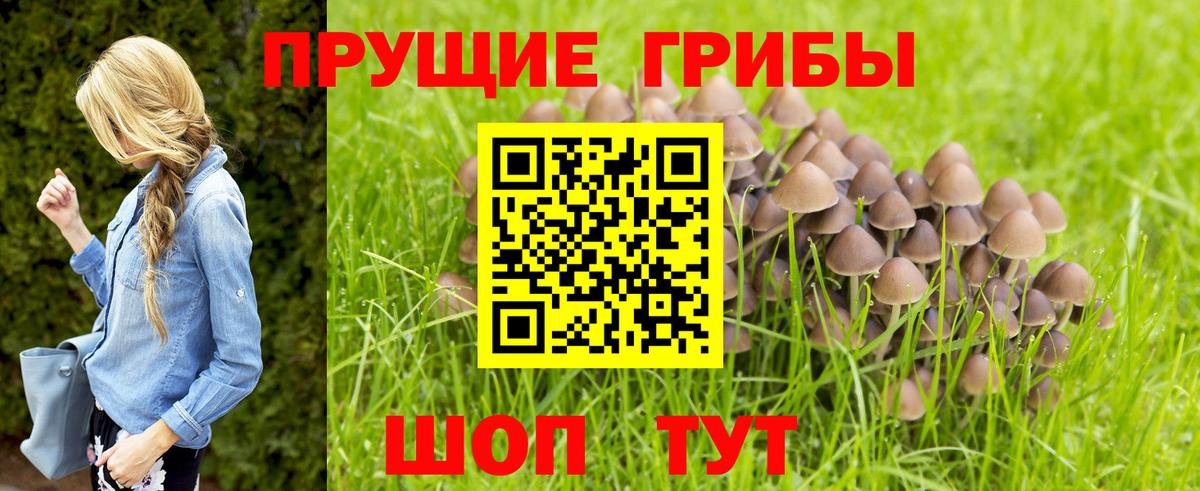 Соликамск  Псилоцибиновые грибы GOLDEN TEACHER  Вход с VPN 