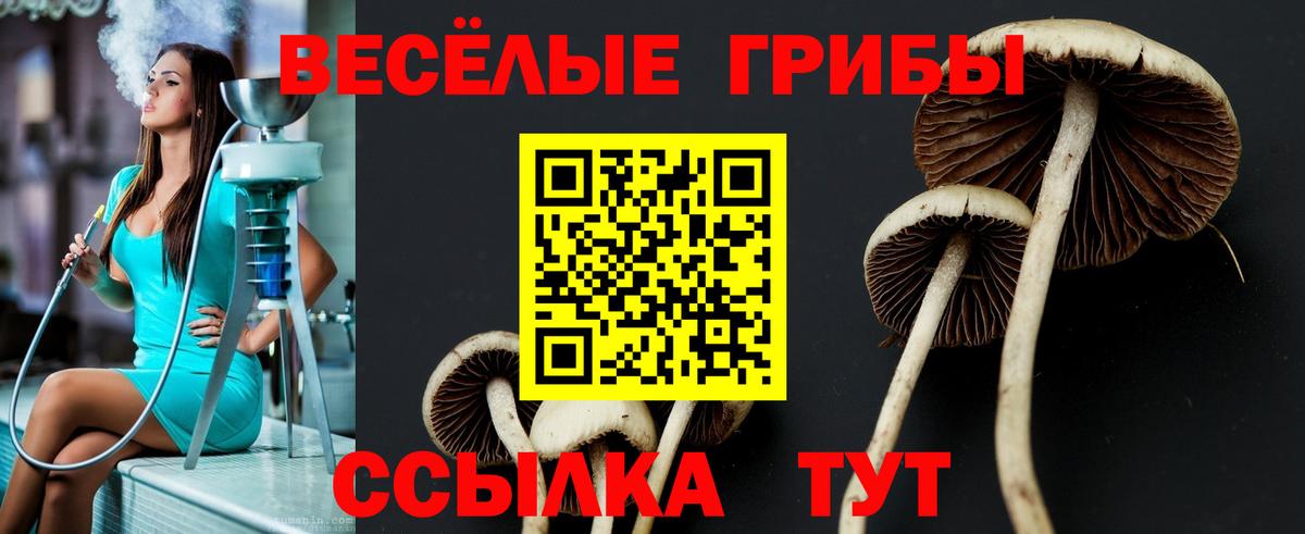 Псилоцибиновые грибы мухоморы Соликамск